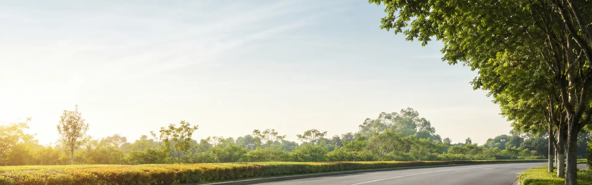Minimal green roadway scenery